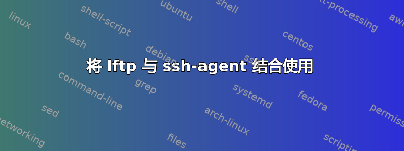 将 lftp 与 ssh-agent 结合使用