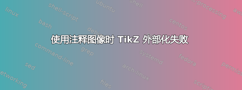 使用注释图像时 TikZ 外部化失败