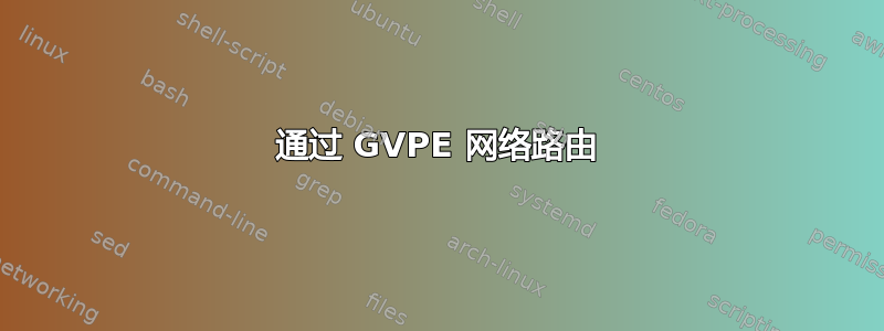 通过 GVPE 网络路由