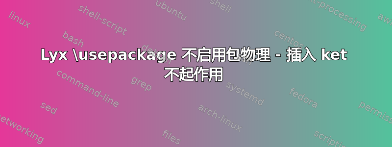 Lyx \usepackage 不启用包物理 - 插入 ket 不起作用