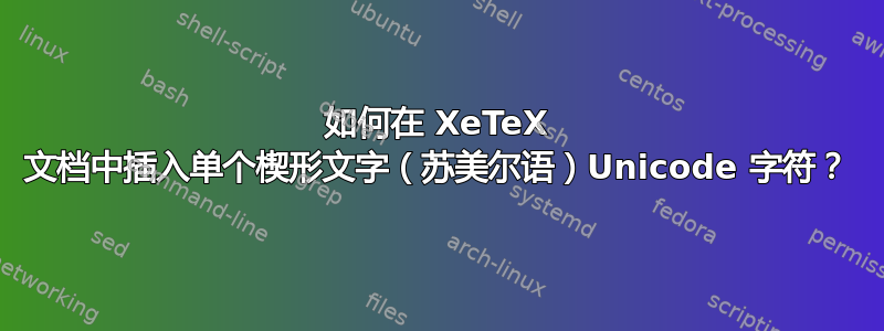 如何在 XeTeX 文档中插入单个楔形文字（苏美尔语）Unicode 字符？