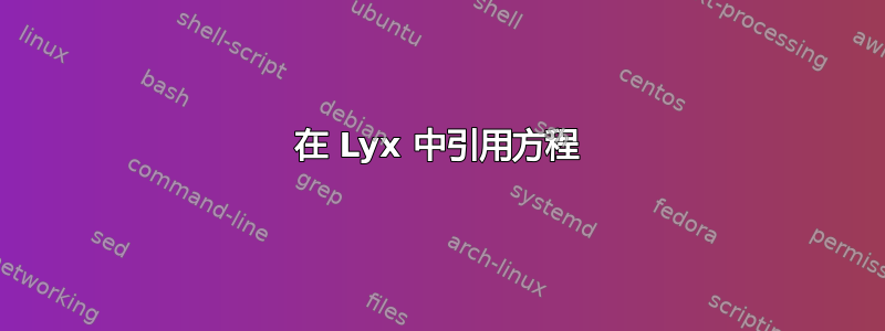 在 Lyx 中引用方程