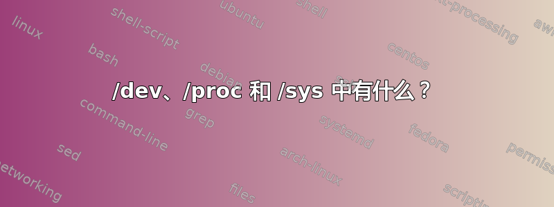 /dev、/proc 和 /sys 中有什么？