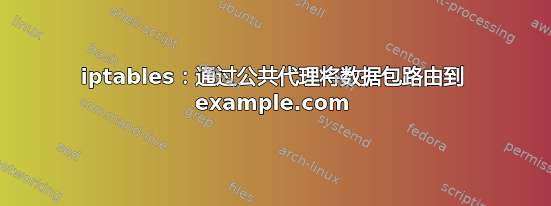 iptables：通过公共代理将数据包路由到 example.com