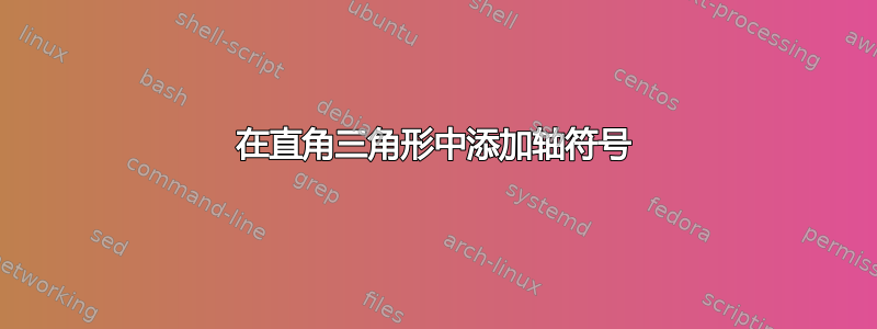 在直角三角形中添加轴符号