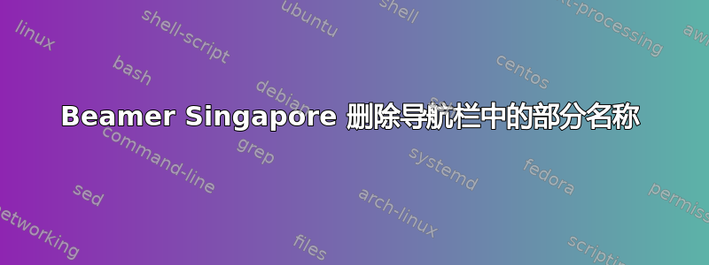 Beamer Singapore 删除导航栏中的部分名称