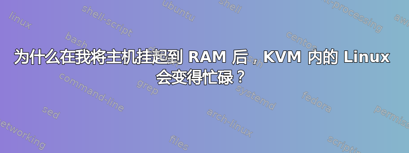 为什么在我将主机挂起到 RAM 后，KVM 内的 Linux 会变得忙碌？