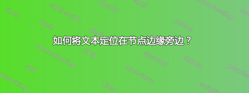 如何将文本定位在节点边缘旁边？