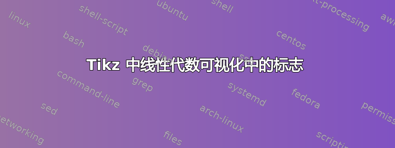 Tikz 中线性代数可视化中的标志