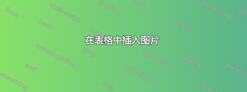 在表格中插入图片