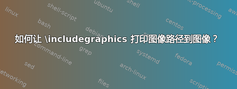 如何让 \includegraphics 打印图像路径到图像？