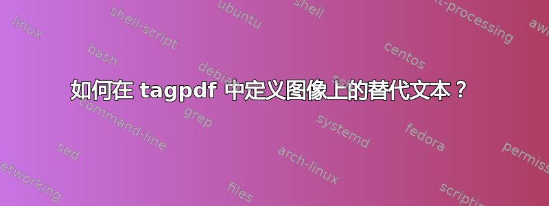 如何在 tagpdf 中定义图像上的替代文本？