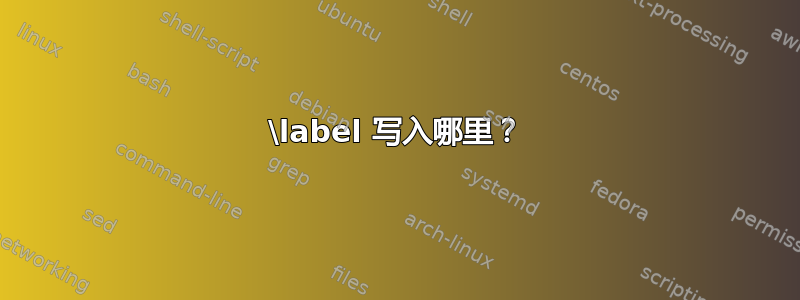 \label 写入哪里？