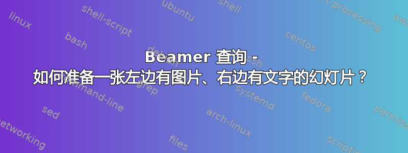 Beamer 查询 - 如何准备一张左边有图片、右边有文字的幻灯片？