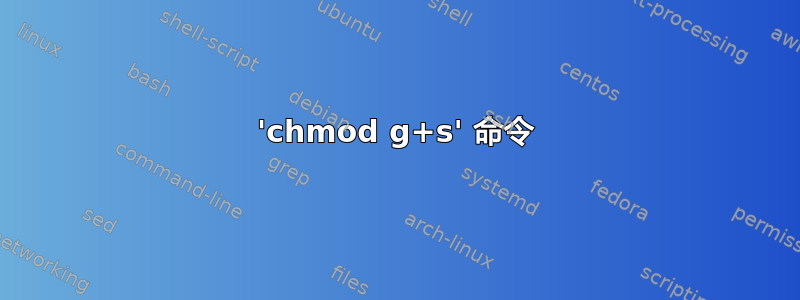 'chmod g+s' 命令