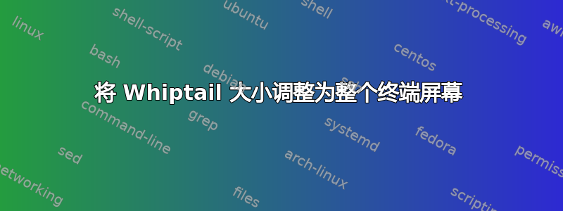 将 Whiptail 大小调整为整个终端屏幕