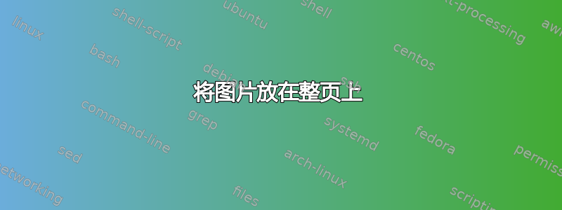 将图片放在整页上