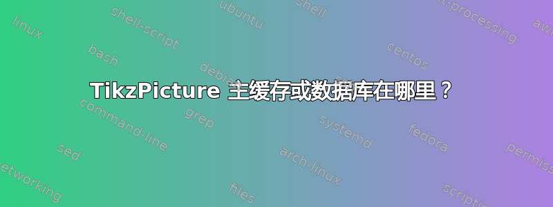 TikzPicture 主缓存或数据库在哪里？