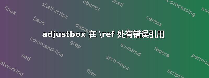 adjustbox 在 \ref 处有错误引用