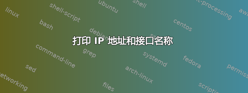 打印 IP 地址和接口名称