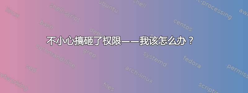 不小心搞砸了权限——我该怎么办？ 