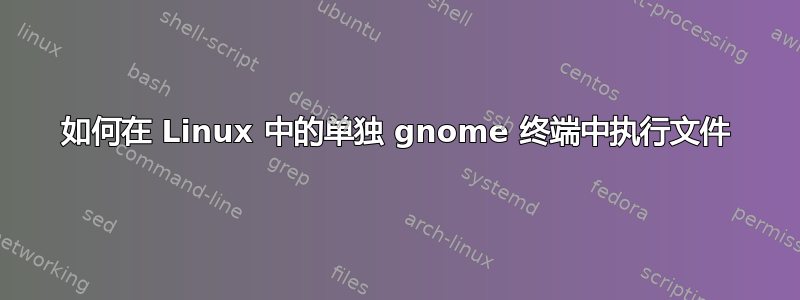 如何在 Linux 中的单独 gnome 终端中执行文件