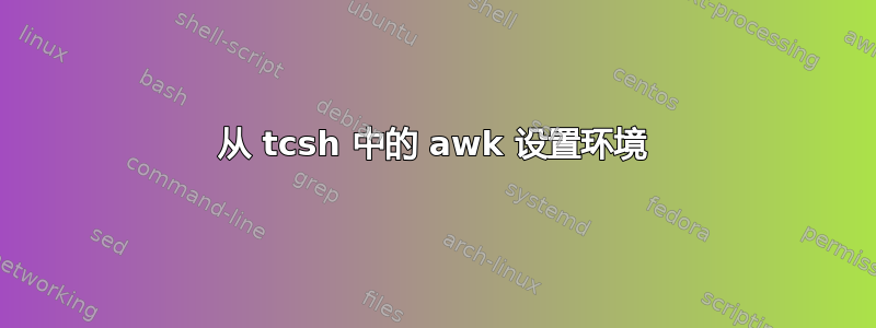 从 tcsh 中的 awk 设置环境