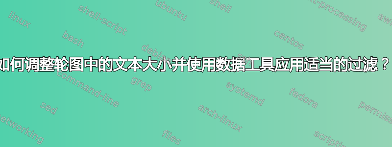 如何调整轮图中的文本大小并使用数据工具应用适当的过滤？