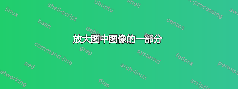 放大图中图像的一部分