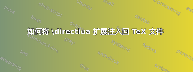 如何将 \directlua 扩展注入回 TeX 文件