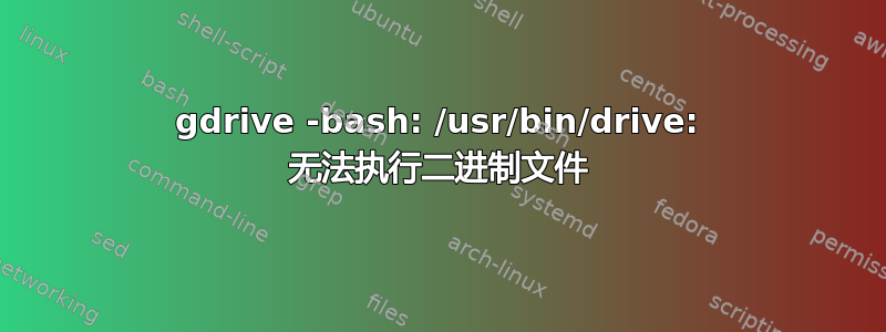 gdrive -bash: /usr/bin/drive: 无法执行二进制文件