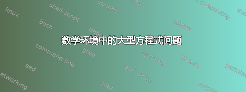 数学环境中的大型方程式问题