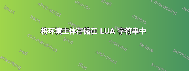 将环境主体存储在 LUA 字符串中