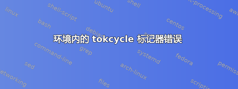 环境内的 tokcycle 标记器错误