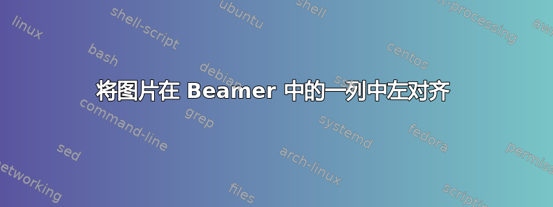 将图片在 Beamer 中的一列中左对齐