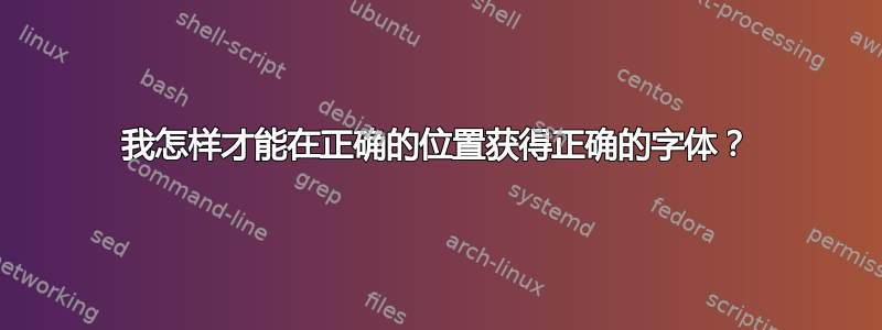 我怎样才能在正确的位置获得正确的字体？