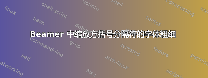 Beamer 中缩放方括号分隔符的字体粗细