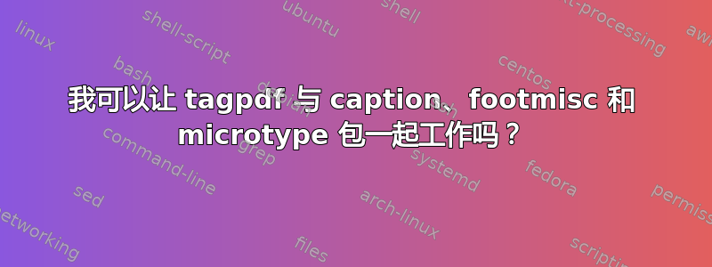 我可以让 tagpdf 与 caption、footmisc 和 microtype 包一起工作吗？