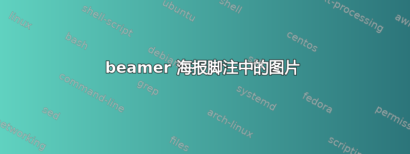 beamer 海报脚注中的图片