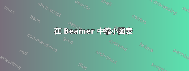 在 Beamer 中缩小图表