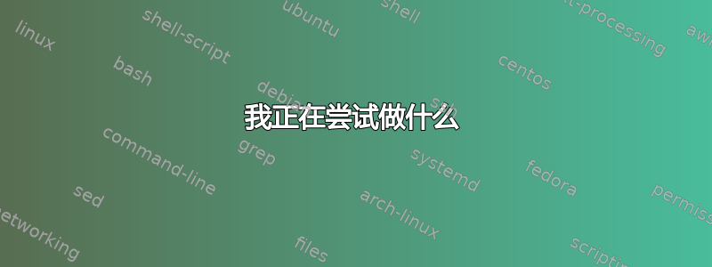 我正在尝试做什么