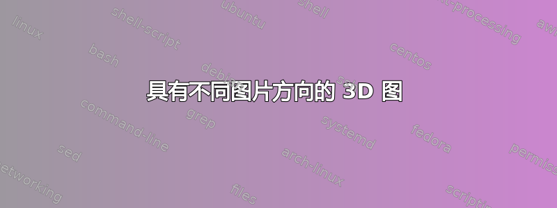 具有不同图片方向的 3D 图