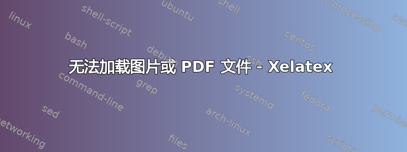 无法加载图片或 PDF 文件 - Xelatex