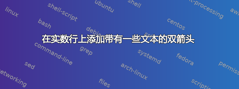 在实数行上添加带有一些文本的双箭头