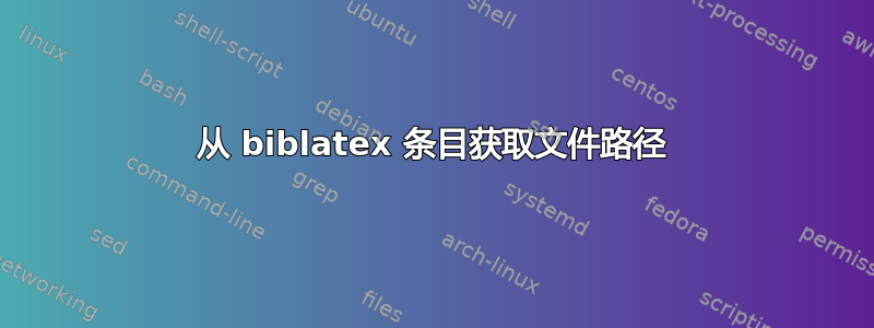 从 biblatex 条目获取文件路径