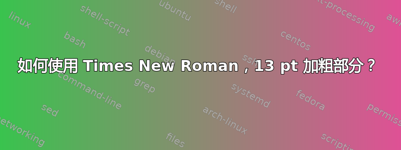 如何使用 Times New Roman，13 pt 加粗部分？