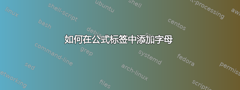 如何在公式标签中添加字母