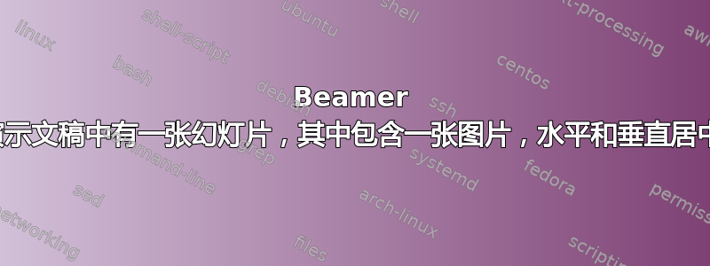 Beamer 演示文稿中有一张幻灯片，其中包含一张图片，水平和垂直居中