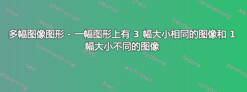 多幅图像图形 - 一幅图形上有 3 幅大小相同的图像和 1 幅大小不同的图像