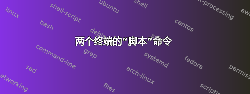 两个终端的“脚本”命令